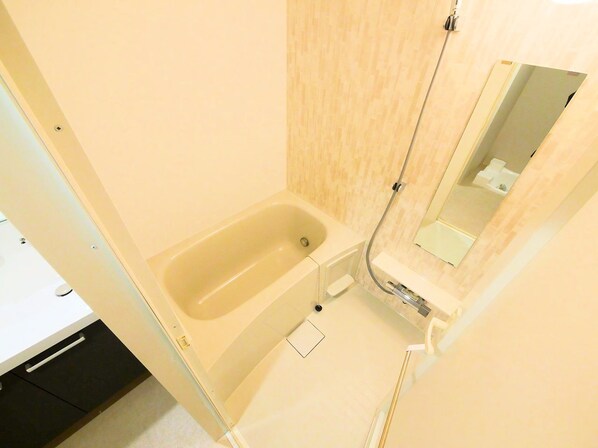 デュオフラッツ仙台木町通リネアの物件内観写真